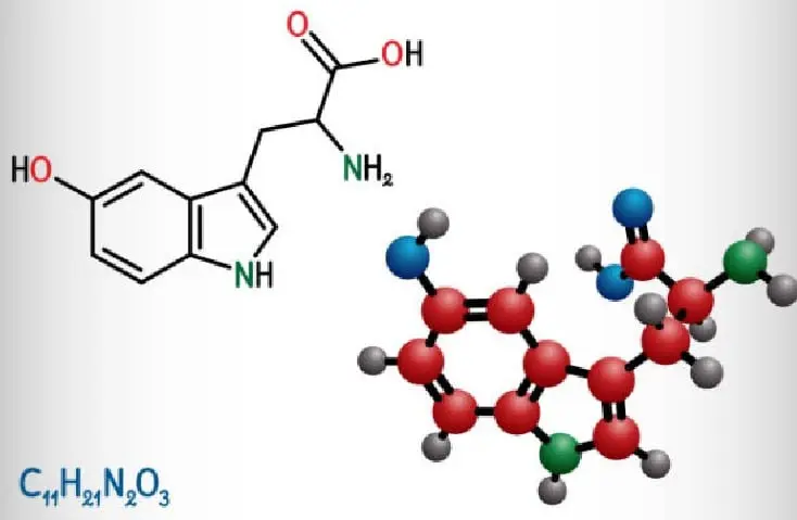 5-HTP.jpg
